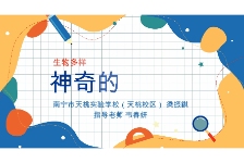 神奇的红树林：守护生物多样性的宝库