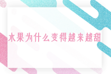 水果为什么变得越来越甜