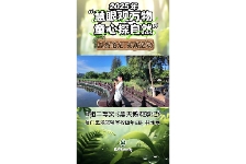 黑天鹅观察记