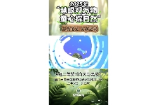 白天与黑夜