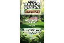 路边的“生存大师”车前草的智慧