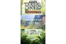 家楼下的时光见证者：“50”岁的大榕树