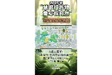 龟背竹：会开窗的雨林勇士