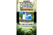 探寻猪笼草