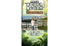 绿藻