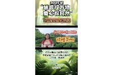 读懂茶树