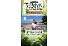 白蛤蜊