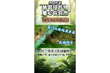 夜观蜗牛