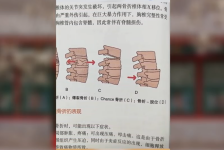 一直挺直脊梁