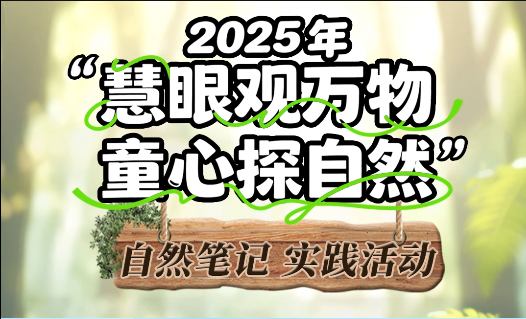 一株茄子的自然日记