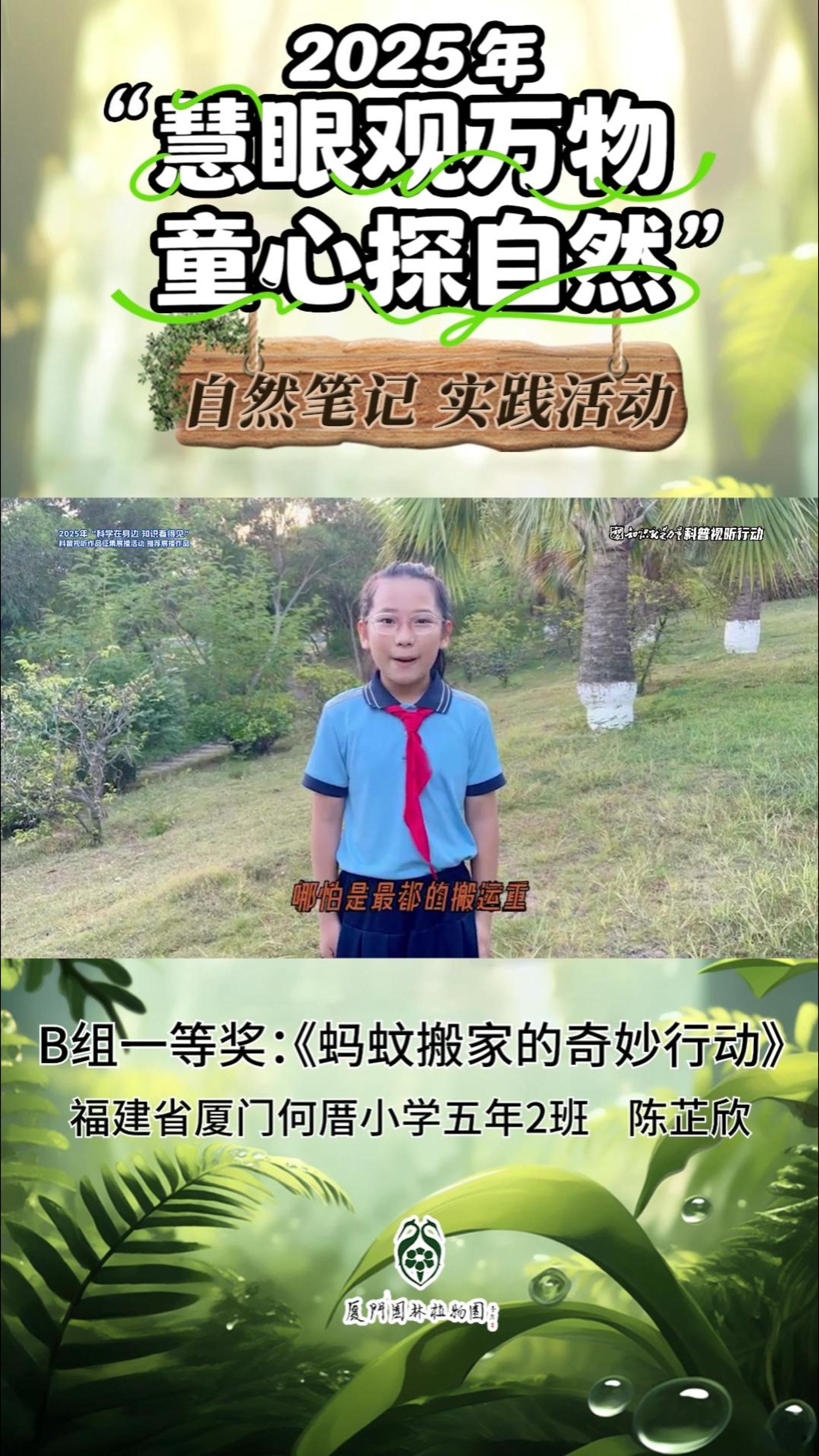 蚂蚁搬家的奇妙行动