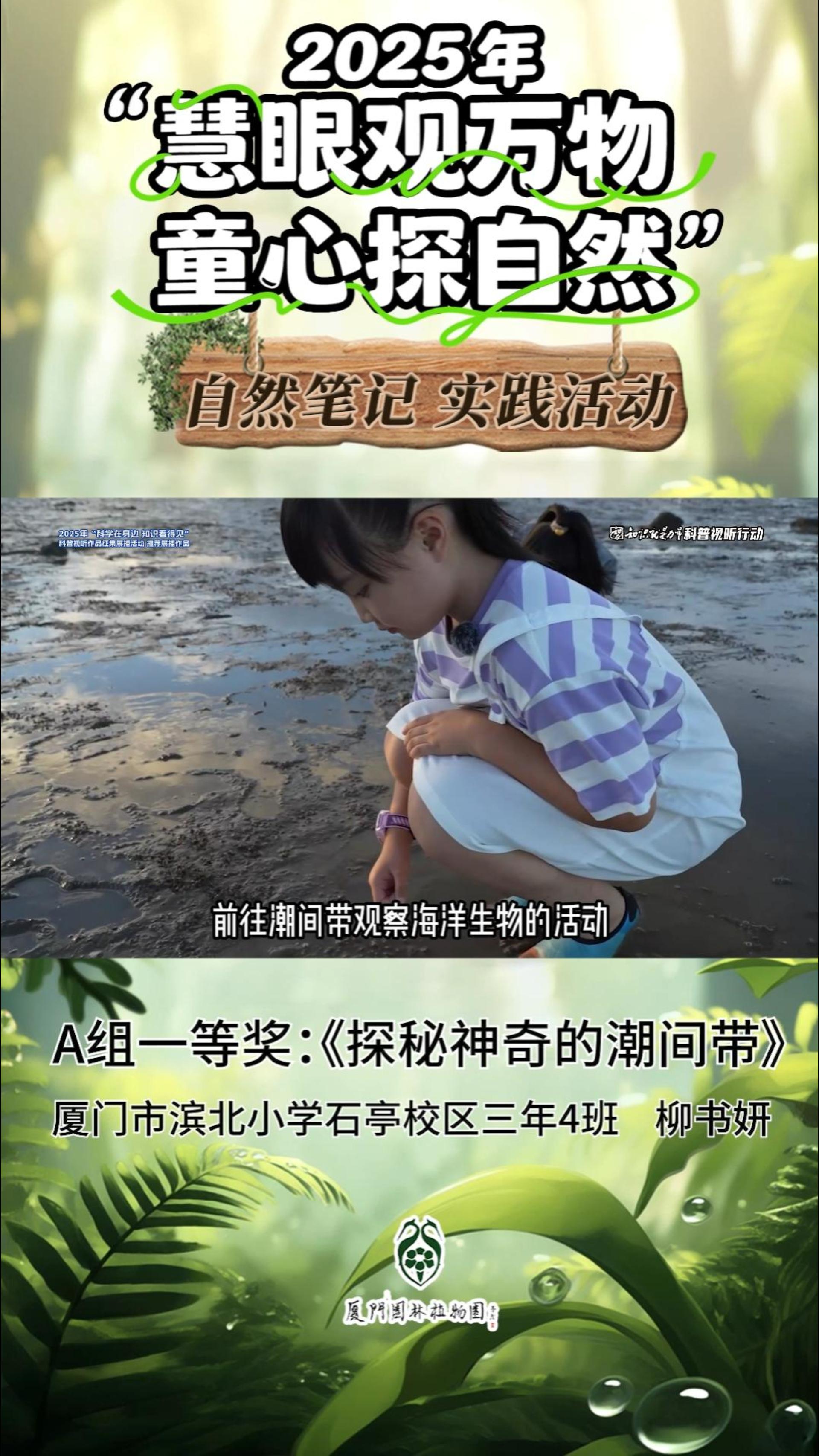 探秘神奇的潮间带