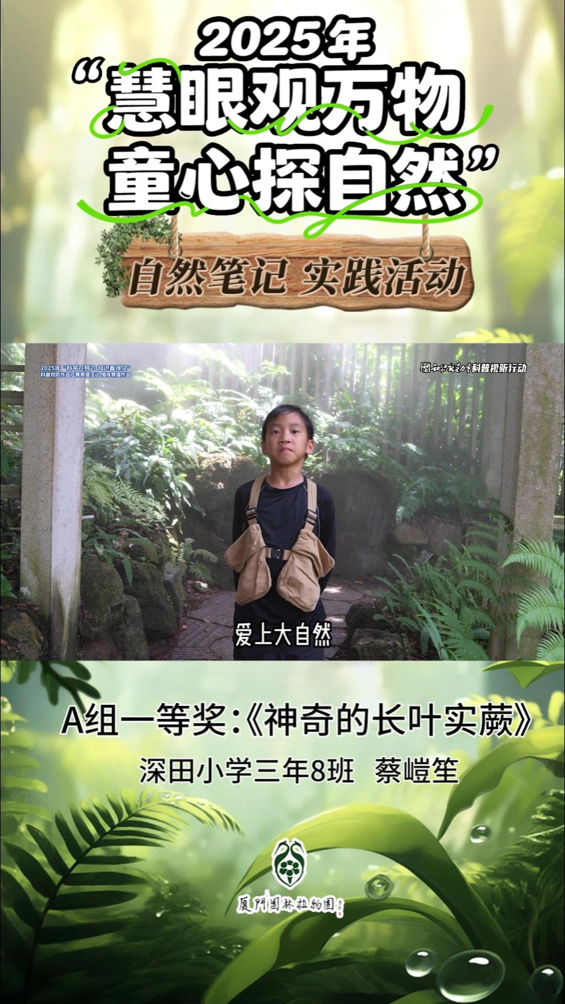 神奇的长叶实蕨