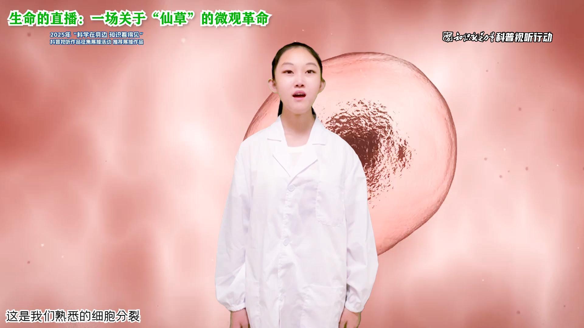 生命的直播：一场关于 “仙草” 的微观革命